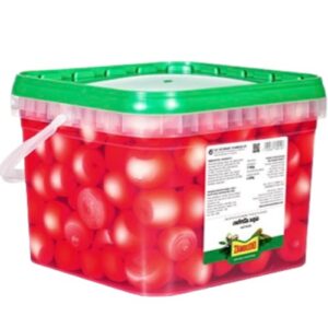 CEBOLLA VINAGRE ZAMBUDIO CUBO 2KG ESCURR