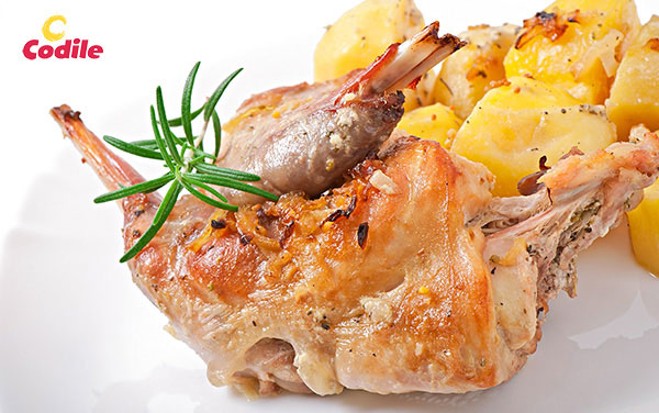 5ºGAMA V Gama Codile