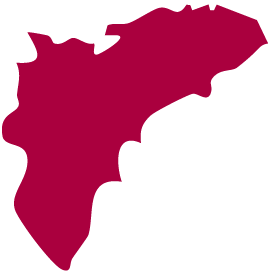 Codile Comunidad Valenciana